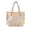 Louis Vuitton Neverfull Nautical Damier Azur